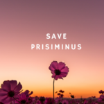 Save prisiminus